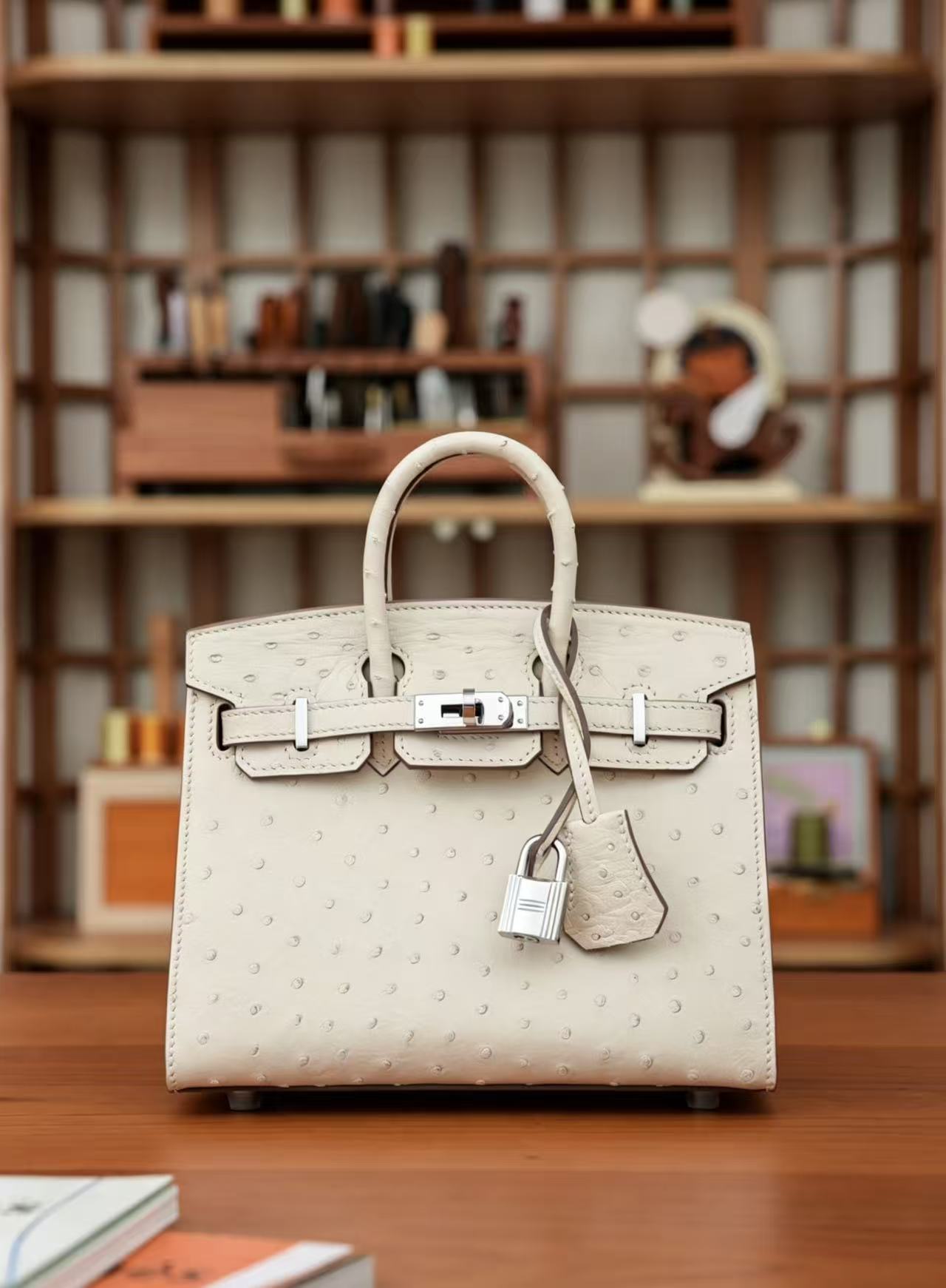 BK20 Nata Ostrich Leather - Silver Hardware